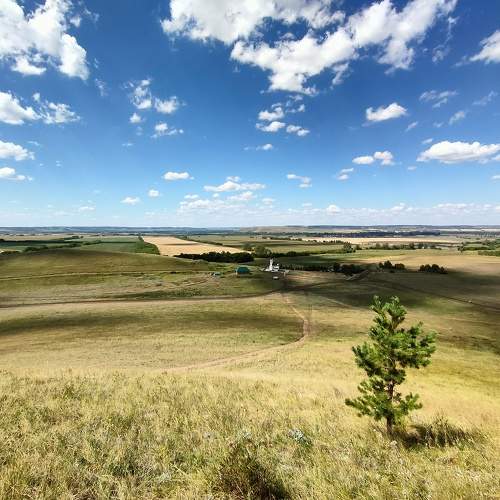 Photo #11344274