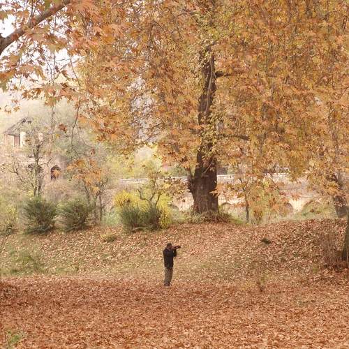 Photo #11344501