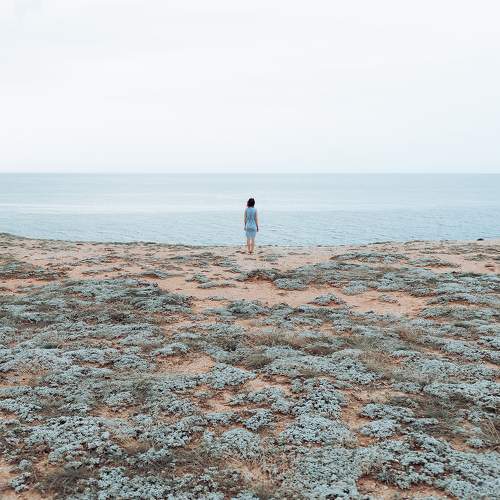Photo #11344510