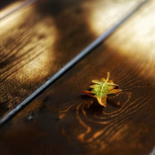 Photo #11344534