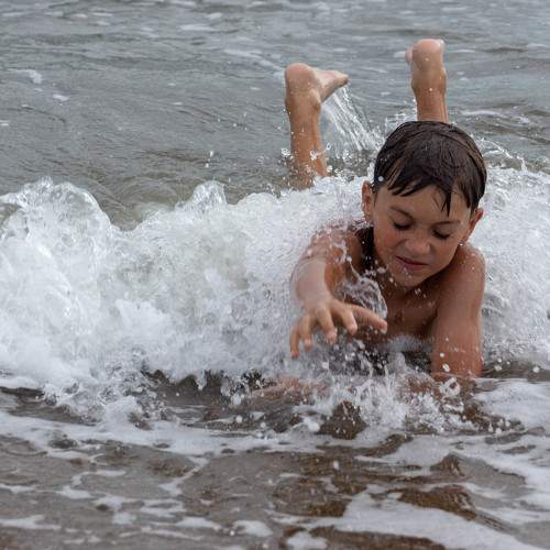 Photo #11344649