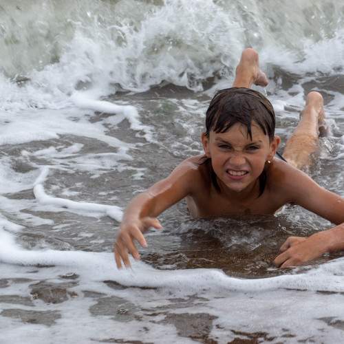 Photo #11344650