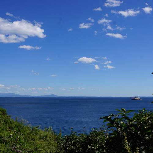 Photo #11344817