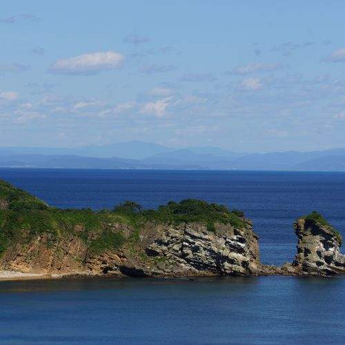 Photo #11344861