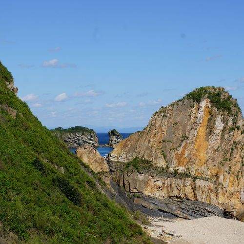 Photo #11344871
