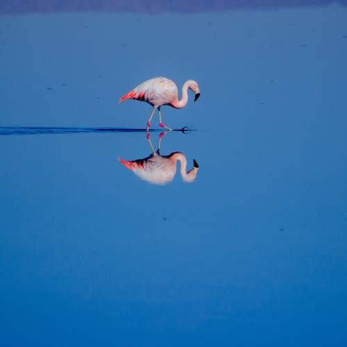 Photo #11345833