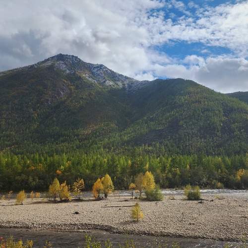 Photo #11345971