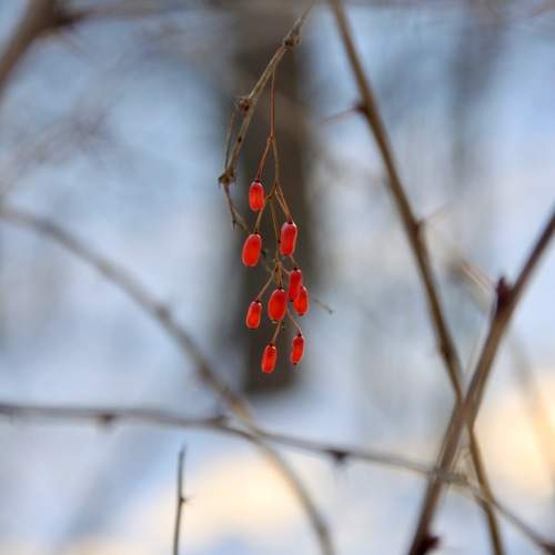 Photo #11346078