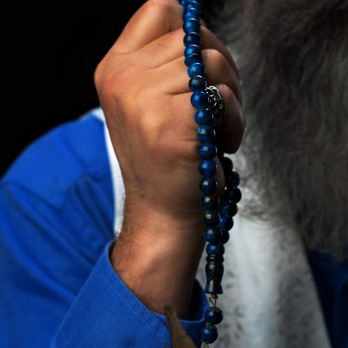 Photo #11346456