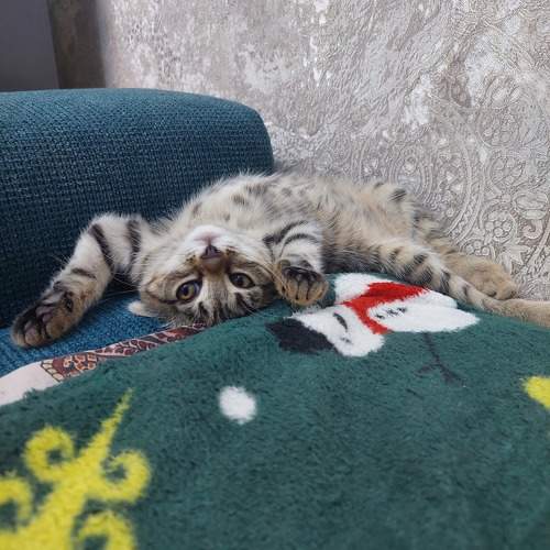 Photo #11346481