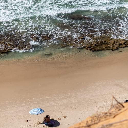 Photo #11346493
