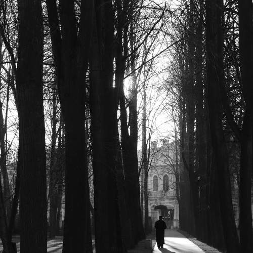 Photo #11346521