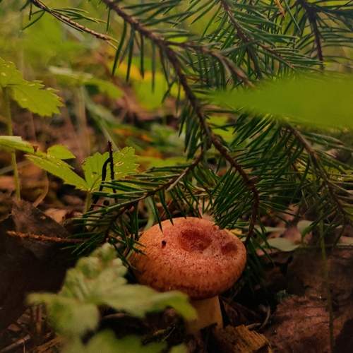Photo #11346695