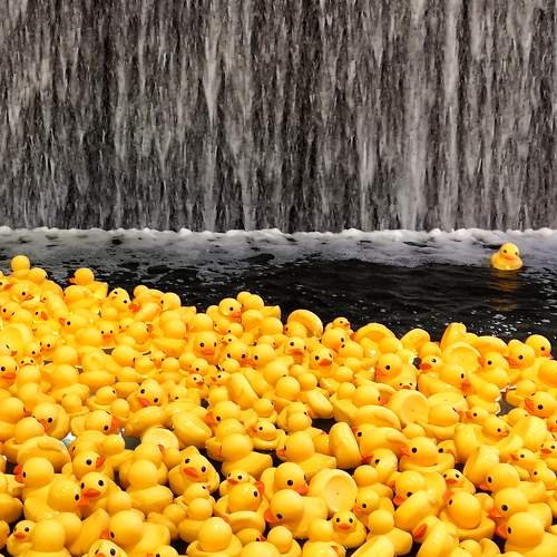 Photo #11346819