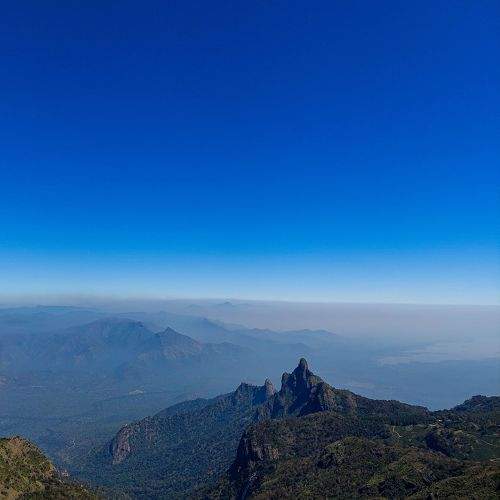 Photo #11347121