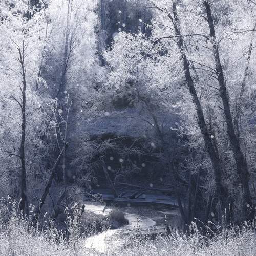 Photo #11347559