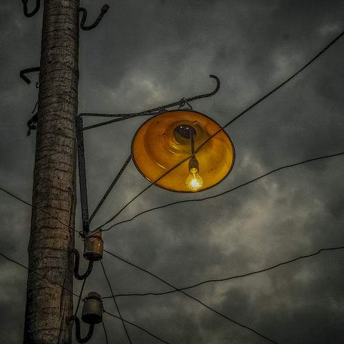 Photo #11347725