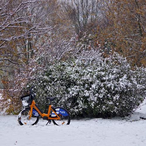 Photo #11347781