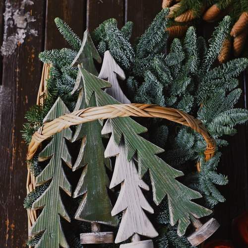 Photo #11347927