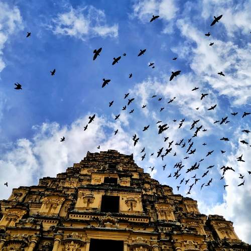 Photo #11347940
