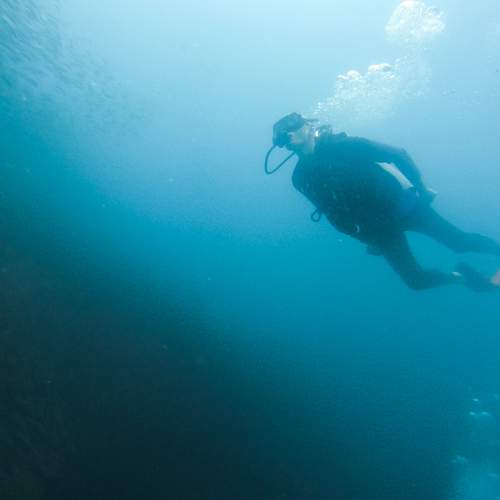 Photo #11348118