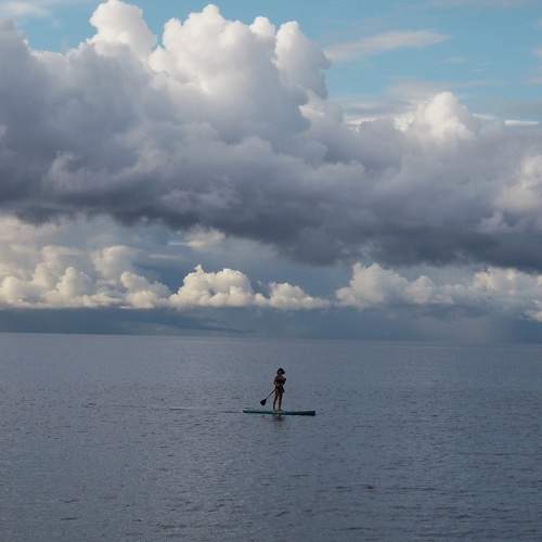 Photo #11348225