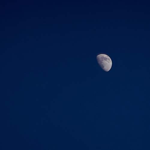 Photo #11348602