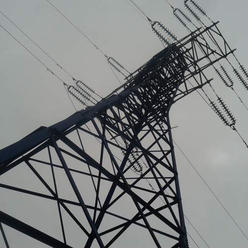 Photo #11348713