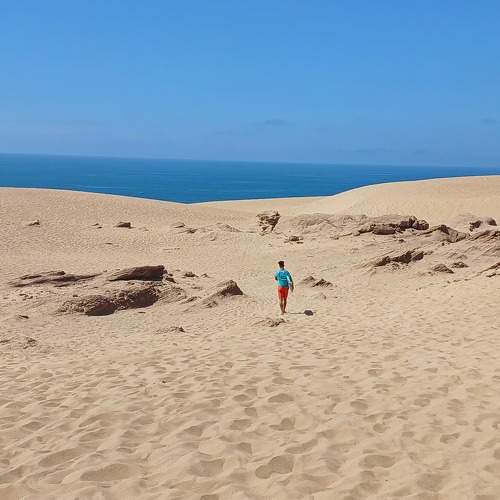 Photo #11348740