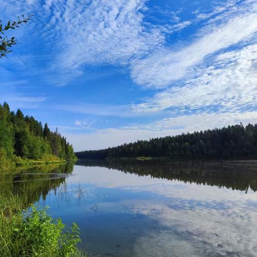 Photo #11348877