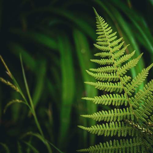 Photo #11348923