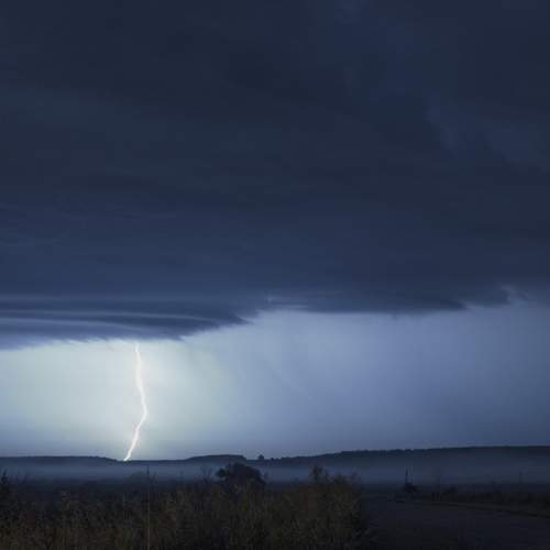 Photo #11349036
