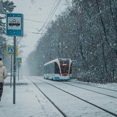 Photo #11349037