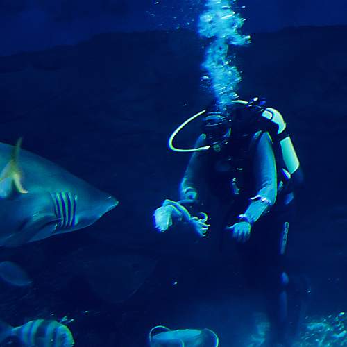 Photo #11349215