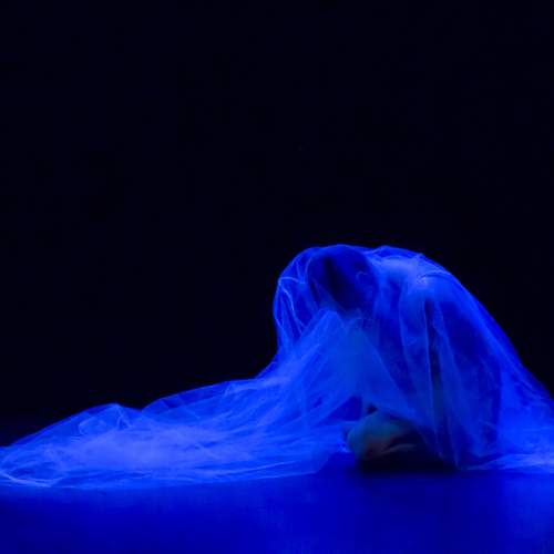 Photo #11349222