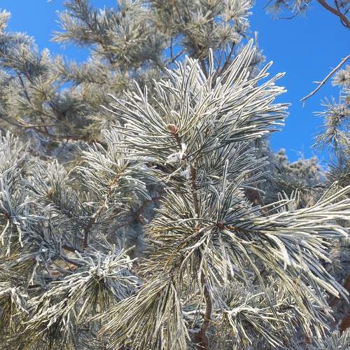 Photo #11349355