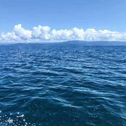 Photo #11349364