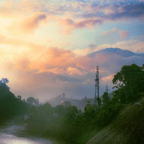 Photo #11349415