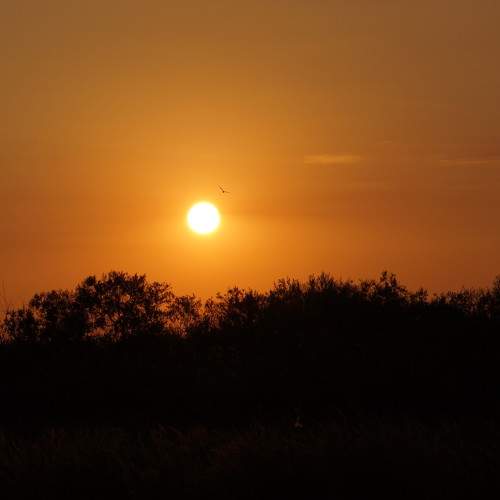 Photo #11349586
