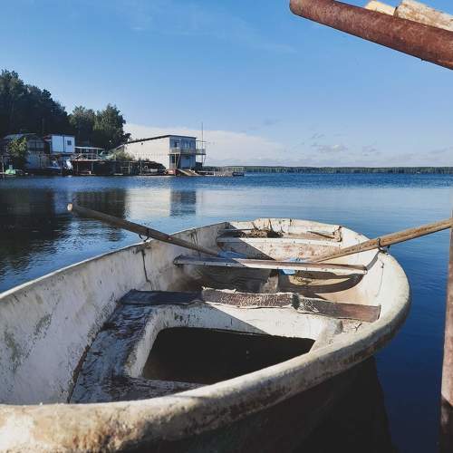 Photo #11349616