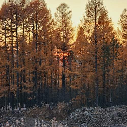 Photo #11349620