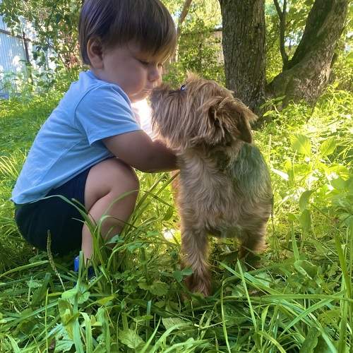 Photo #11349846