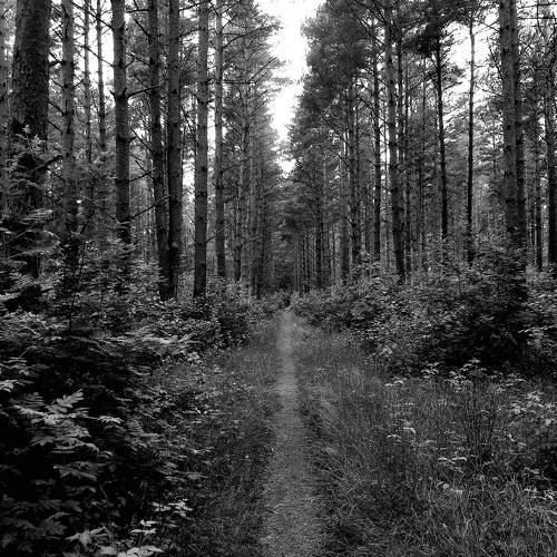 Photo #11349976