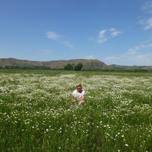 Photo #1135481