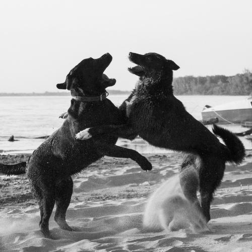 Photo #1135587
