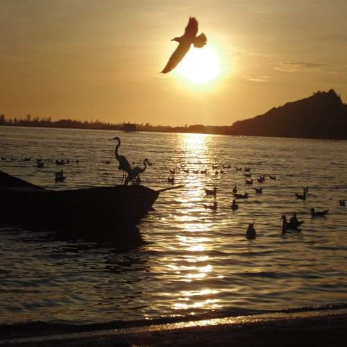 Liberdade
