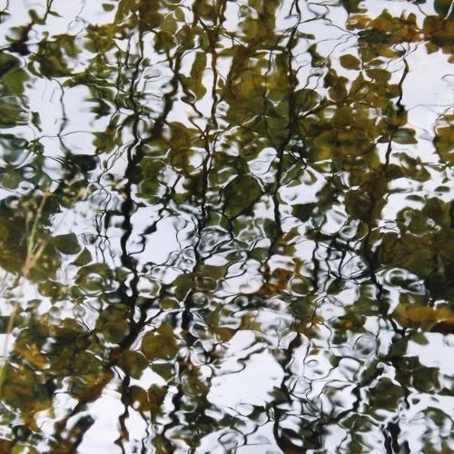 Reflections
