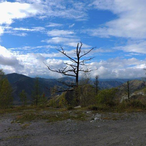 Photo #1138271