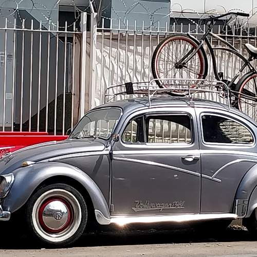 The Volkswagen and the Bicycle
