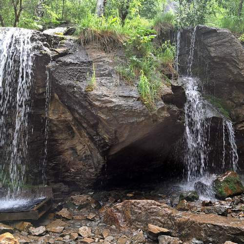 Photo #11350236